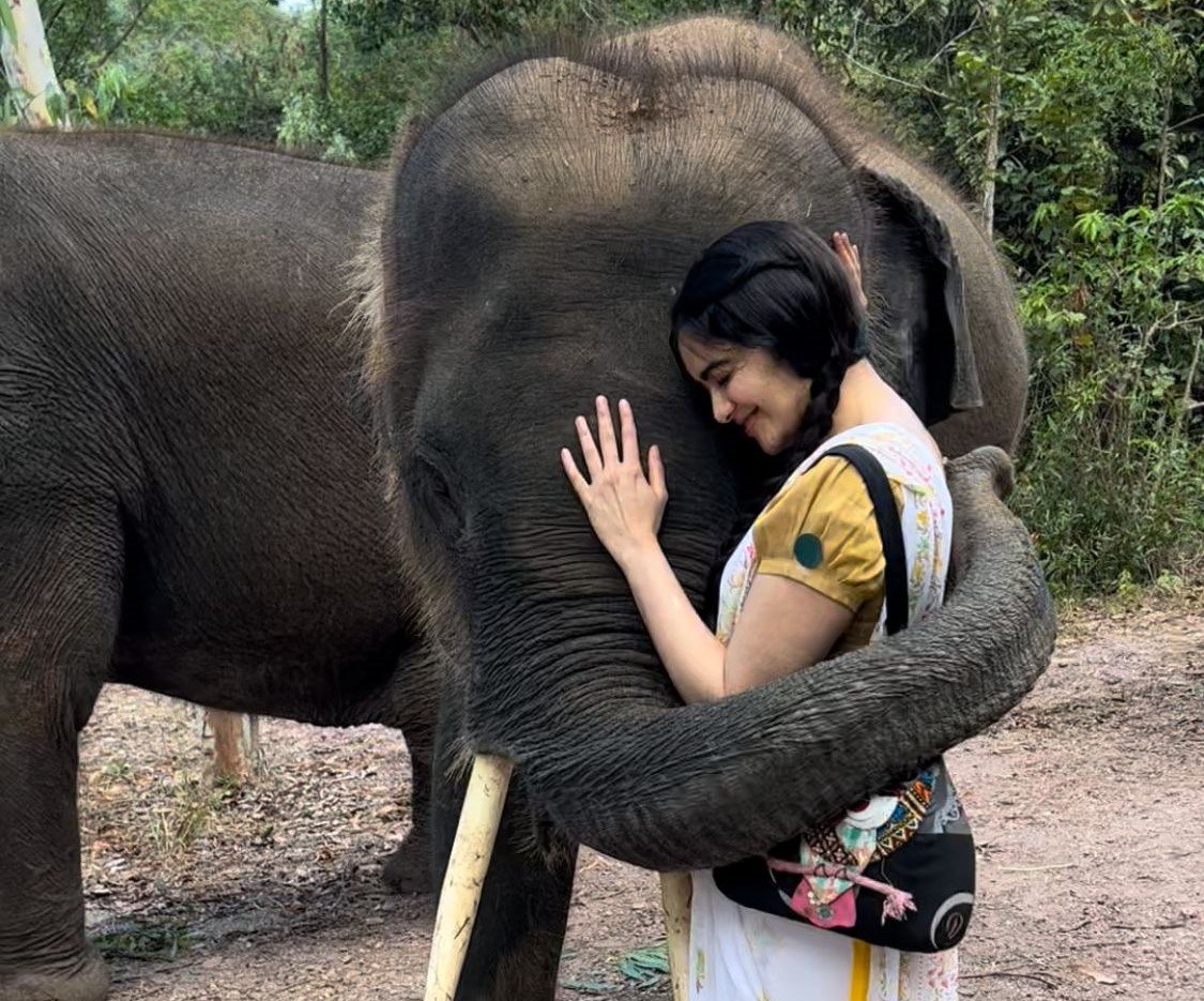 Adha sharma adha sharma