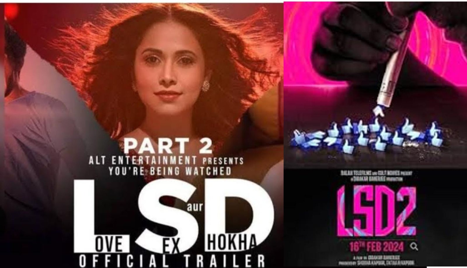 Love sex and dhokha love sex and dhokha